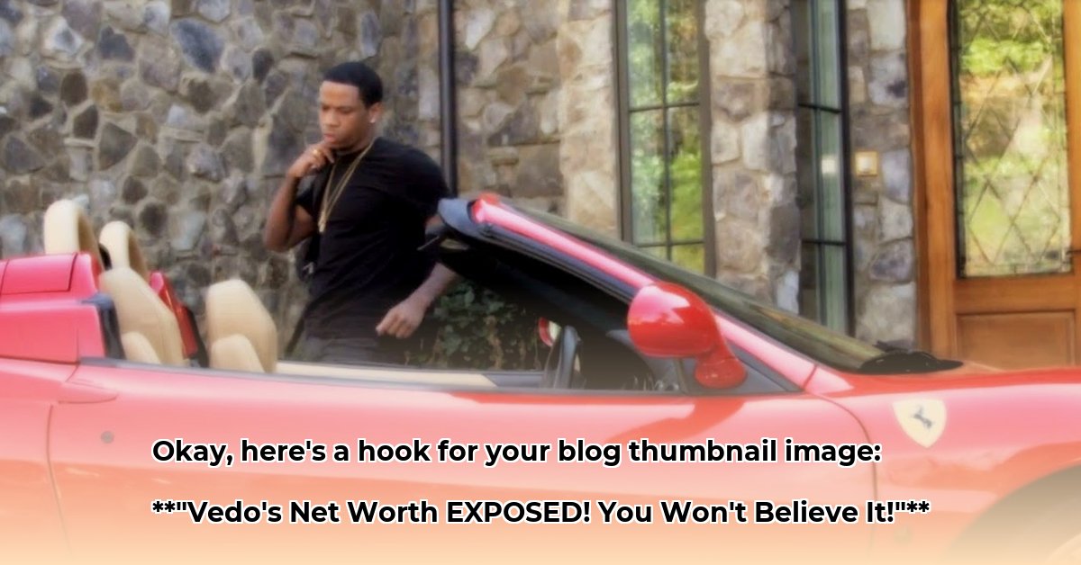 vedo-the-singer-net-worth